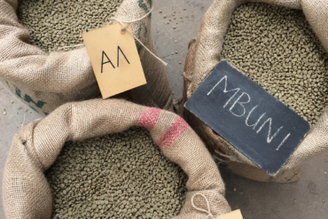 Phone photo top-down of graded green beans in labelled sisal sacks folded open
