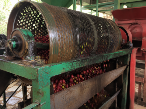 Photo of close shot of the rotating perforated steel drum pre-grader mid-run