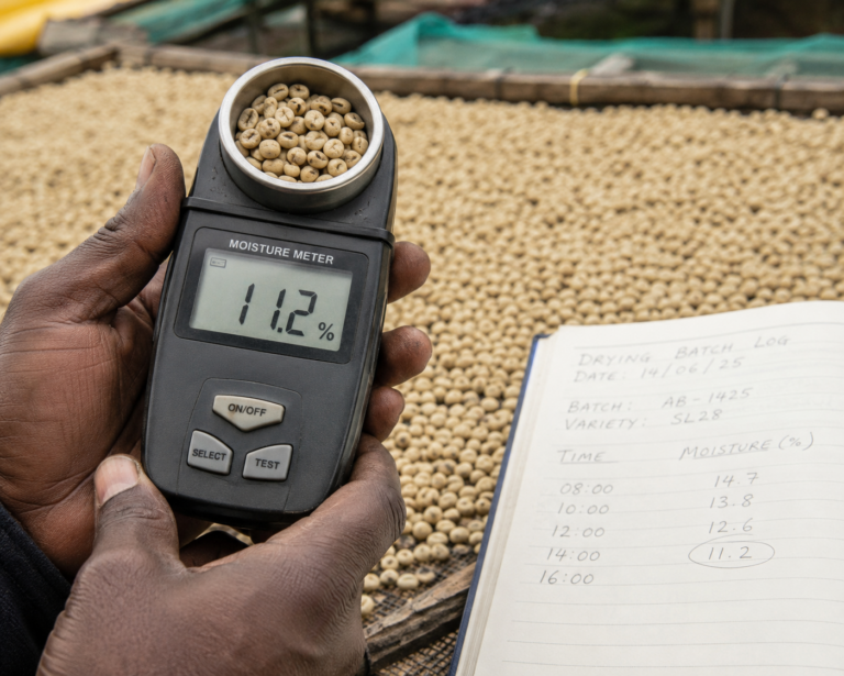 Photo of close-up of a handheld digital moisture meter reading 11.2% with parchment beans in its cup chamber