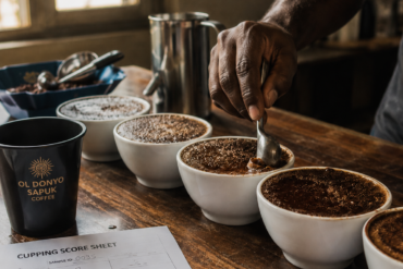 Photo of cupping table with six white bowls of brewed coffee, a hand breaking the crust with a cupping spoon