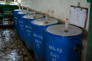 Photo of sealed blue plastic fermentation barrels with one-way airlock valves lined against a wet-mill wall