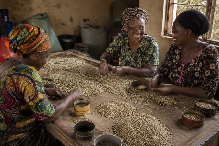Photo of three Kenyan women seated at a rough wooden sorting table spread with green coffee beans