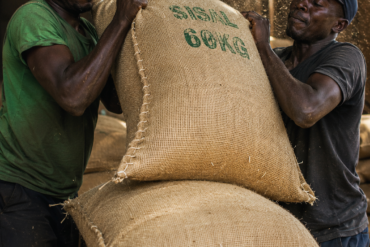 Photo of two workers hoisting a stitched 60kg sisal bag onto a shoulder-height stack